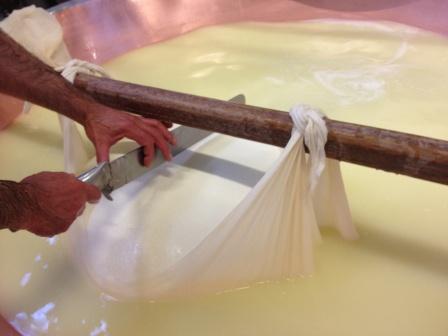 Lavorazione formaggi